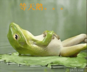 癞蛤蟆仰等天鹅可爱gif动图_动态图_表情包下载_soogif