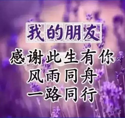 《真正的朋友,永远在心底!