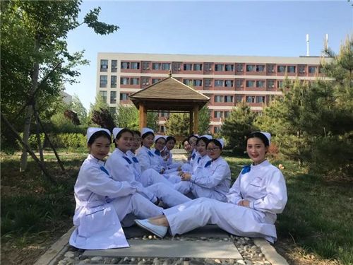 河南护理职业学院2021省外考生报考须知