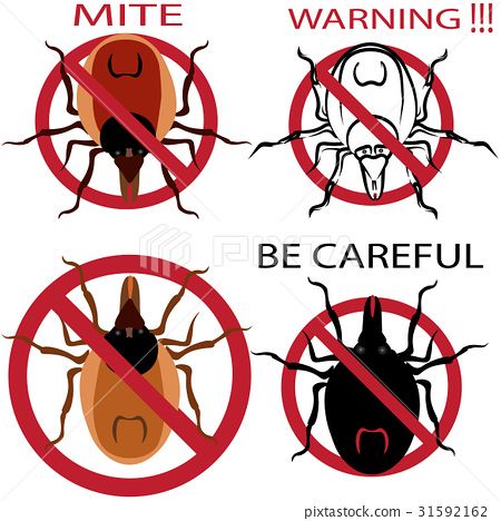 插图素材: a set of warning sign. spider mites. red mite 查看全部