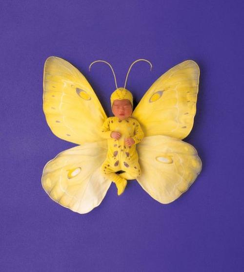 婴儿创意摄影大师annegeddes陈阅视觉