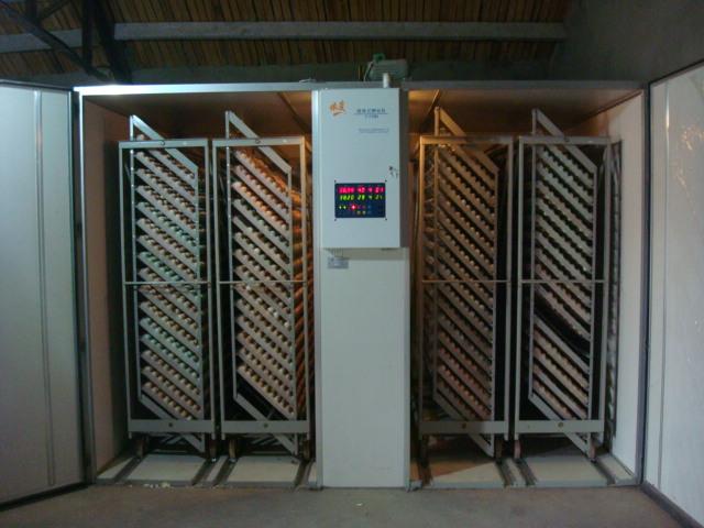 依爱孵化机22528枚