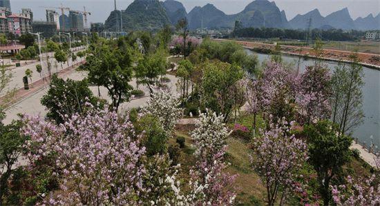 广西贺州市钟山县基础设施项目建成投运为经济发展注入新活力