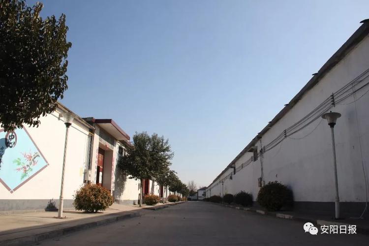 村村容村貌全市农村人居环境整治系列报道之村容村貌篇村庄推进"五化"
