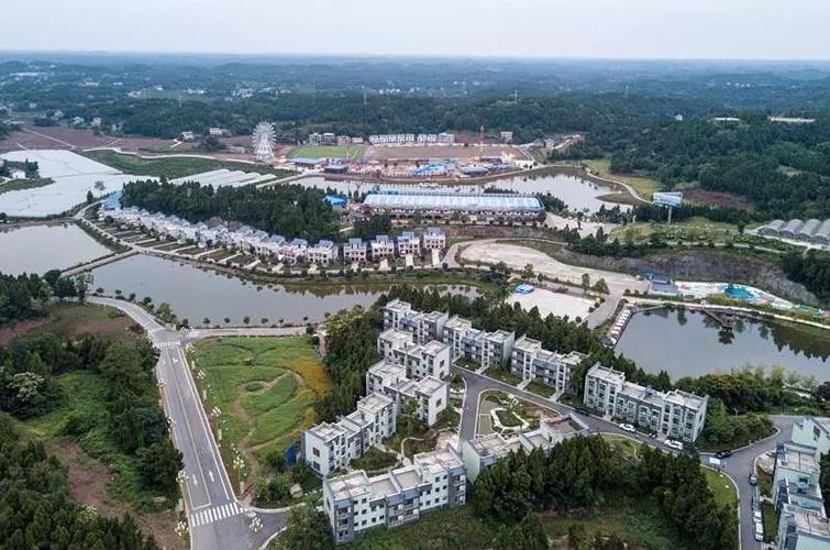 示范村,乡镇,四川,乡村振兴,安岳县,雁江区,资阳市,蒲江县,坝村,保和