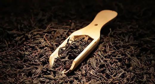 红茶中的香槟——印度大吉岭红茶