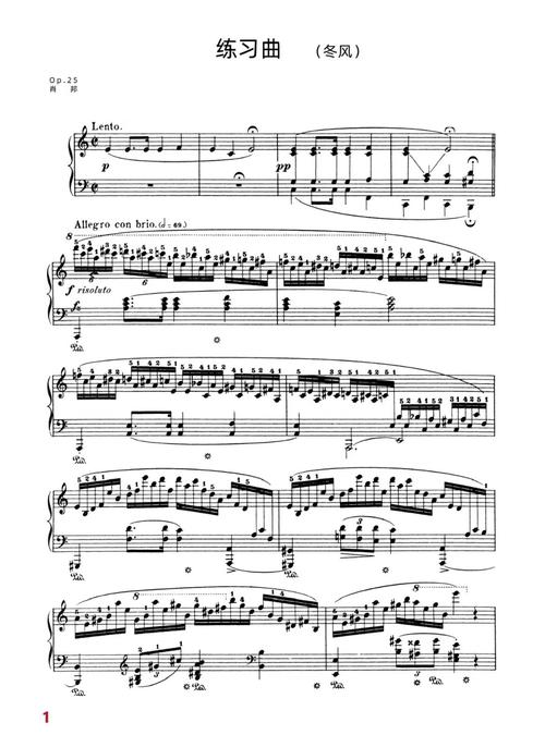 钢琴练习曲《东风》肖邦\n肖邦的《东风练习曲》是一首极具挑战性和