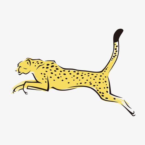 关键词 : 豹子,速度,logo,动物,飞豹