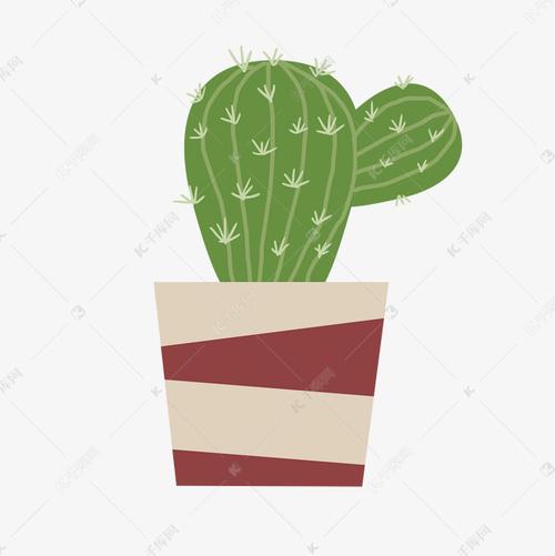 植物绿色仙人掌仙人球