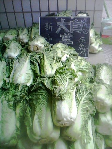 卖白菜卖白菜卖白菜呀