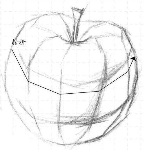 零基础素描教程分步骤讲解苹果梨素描画法简单易学快临摹