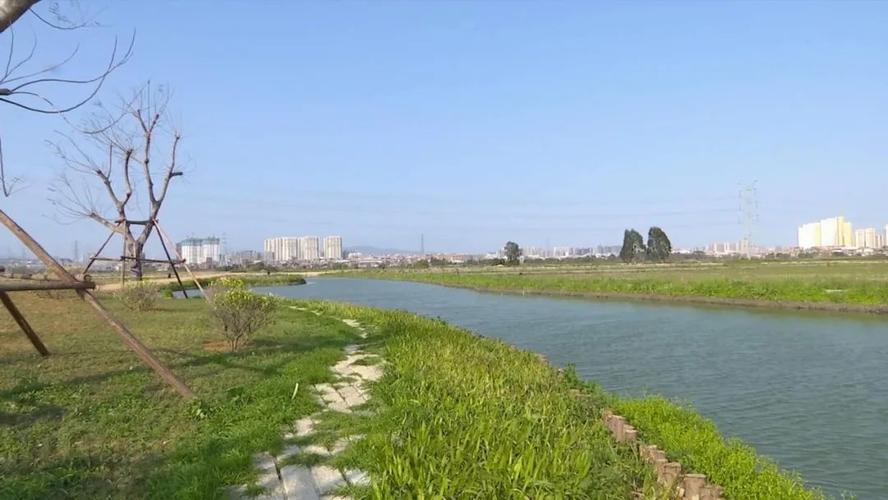 今年适逢世中运在晋江市举办   为使晋江市九十九溪流域   田园风光