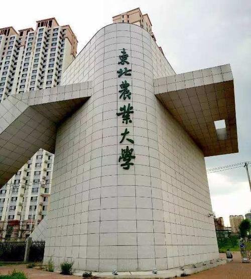 东北农业大学 ———美丽的校园