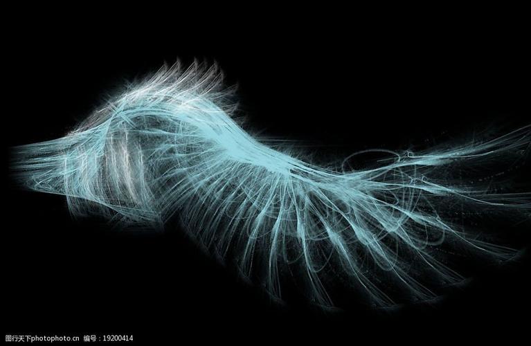 羽化翅膀wing图片