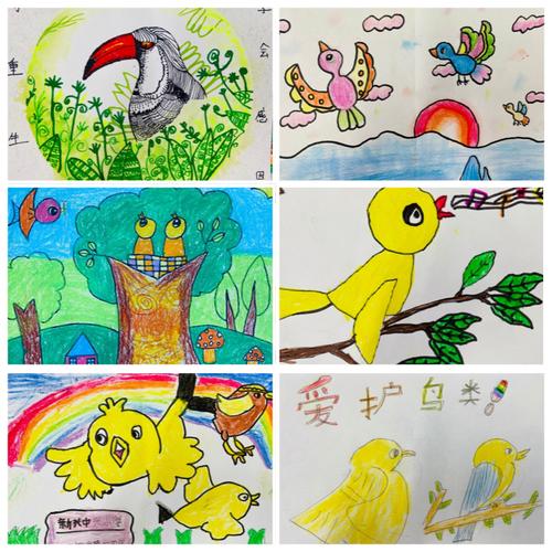 【阎良教育·新兴中心小学】让鸟儿自由飞翔——新兴中心小学"爱鸟护