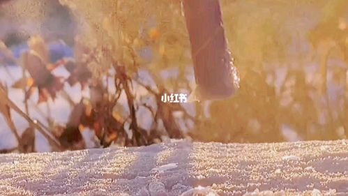 自然_素材_文字素材