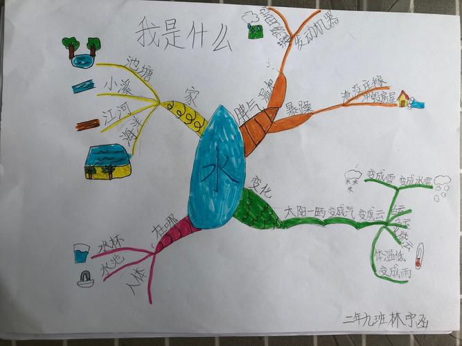 《我是什么》思维导图