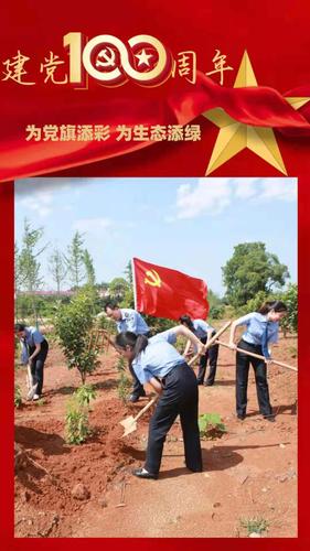 "庆祝建党100周年 我为党旗添光彩"宣传海报大赛获奖作品展播(优秀奖)