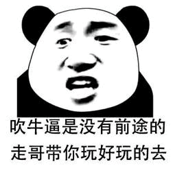 熊猫头gif吹牛逼没前途哥带你玩好完的gif斗图gif搞笑gif
