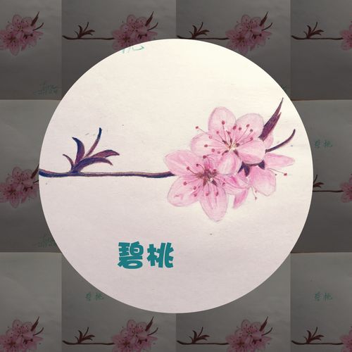 零基础画春花之彩铅画第七篇