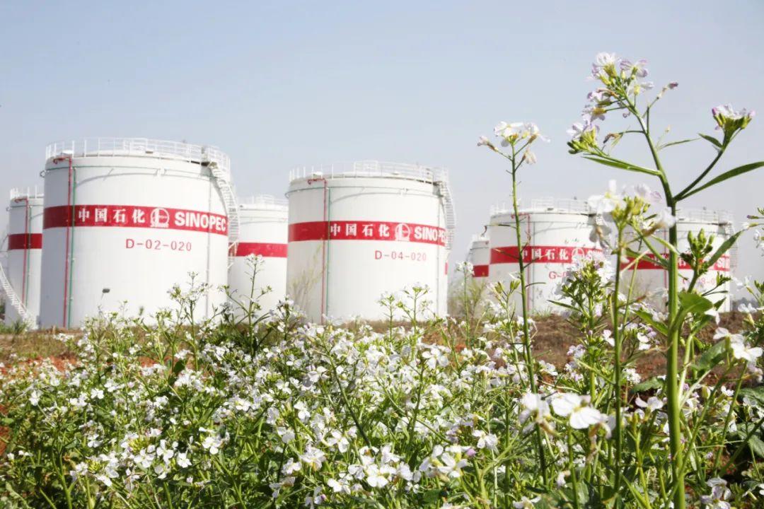 揭秘中石化的油都藏在这想拥有一罐吗