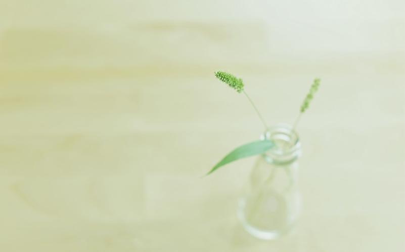 简约唯美小清新意境桌面壁纸图片 - 第2张