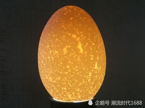 孵化,孵化器,小鸡,鸡蛋,种蛋