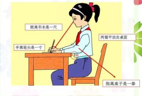 6.巩固28个基本笔画 7.掌握一部分一年级常用字的书写节奏的把握.