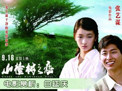 白延庆电影赏析之山楂树之恋