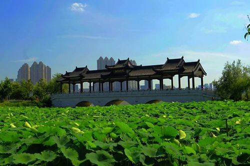 武汉沙湖公园建设耗资达8亿,占地360余公顷,竟可以"免费游玩"