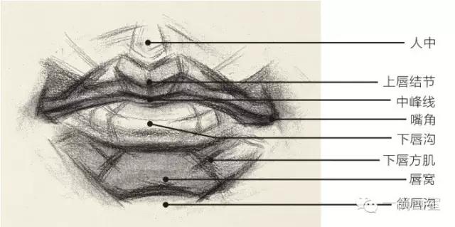 素描头像之五官嘴巴的画法