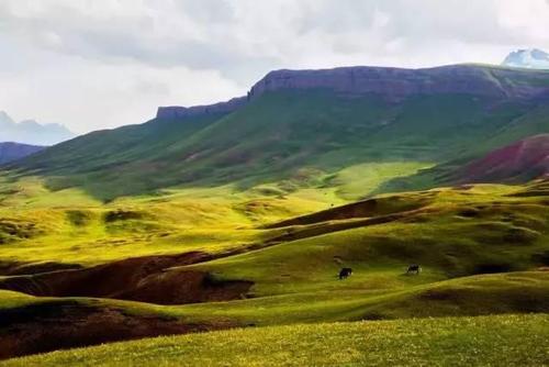 新疆克州彻底火了!