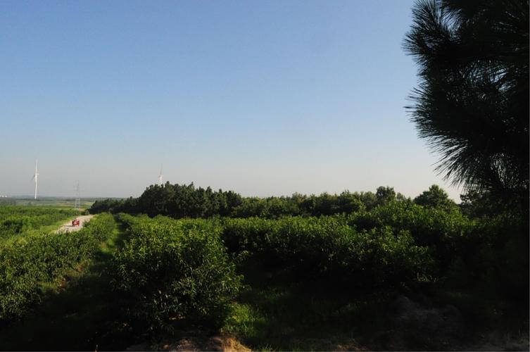 其它 三界镇 写美篇 美丽明光市,三界镇好山好水好地方