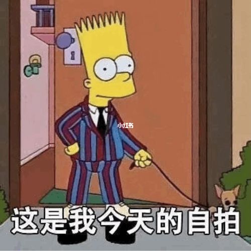 这是我今天的自拍05_自拍_表情包_我最爱的表情包_素材_表情包