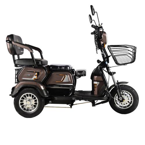 凤凰电动三轮车新款家用接送孩子时尚小型小巴士老年人老人电瓶车