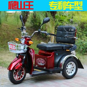 老人代步车三轮电动车双人