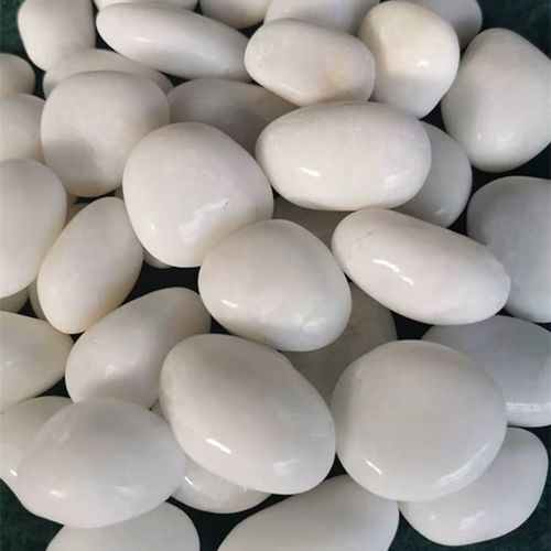 抛光白色石头精品雨花石白石子鹅卵石园林造景装修石头鱼.