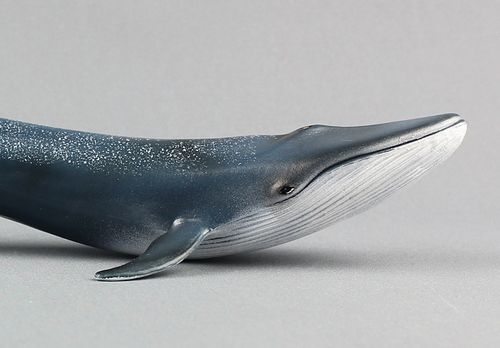 跨境货源仿真海洋生物蓝鲸海洋动物模型塑料海底鲸鱼儿童玩具认知