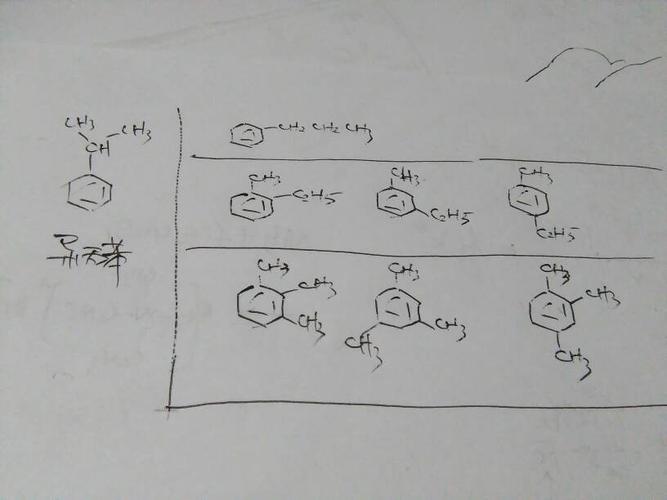 求异丙苯的同分异构体?最好画图写纸上拍照名称也写一