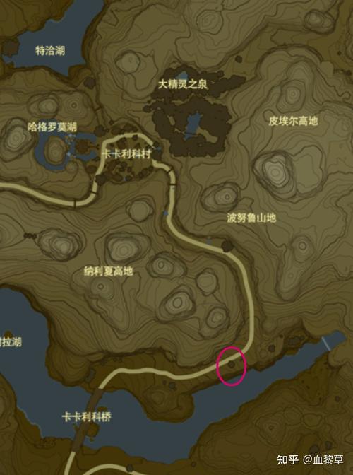 塞尔达伯库林在哪