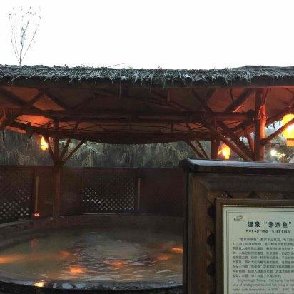 雅安楠水阁酒店预订价格,联系电话\位置地址【携程