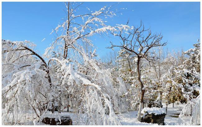 大雪节气却未必下雪,这个节气名不副实吗?其实另有深意和讲究