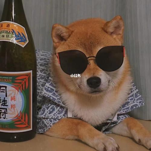 92 3439323936超帅气的狗子头_头像_情侣