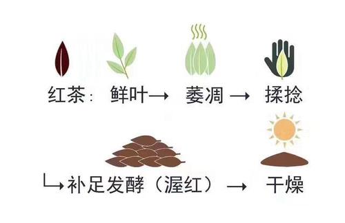 六大茶类制作技艺图册
