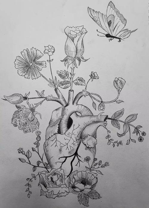 惊艳内蒙古医科大学学生手绘解剖图走红网友被学医耽误的灵魂画手