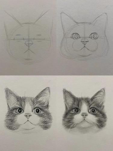 教你用素描画一只可爱猫咪头像