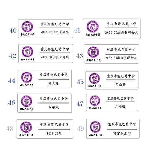 现货重庆鲁能巴蜀中学时代少年胸牌校徽定制胸针