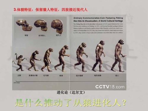 进化论(达尔文) 进化论(达尔文)