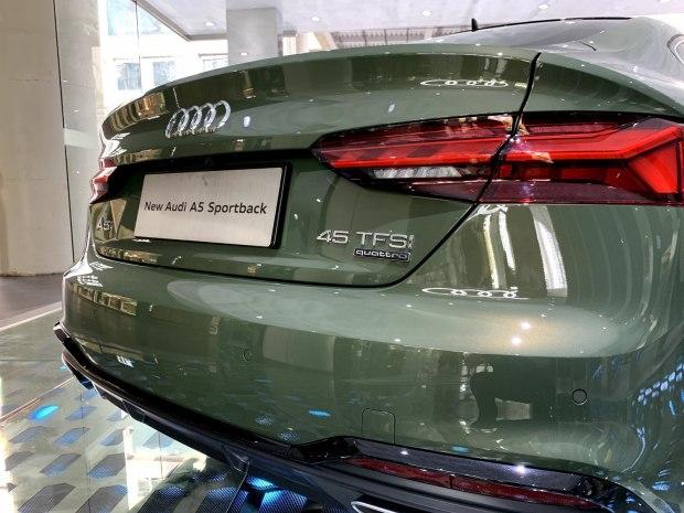 艺术之美新款奥迪a5广州艺术鉴赏展