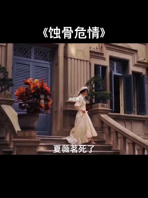 夏薇茗死了,沈修瑾亲手将简童送进了女子监狱.